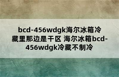 bcd-456wdgk海尔冰箱冷藏里那边是干区 海尔冰箱bcd-456wdgk冷藏不制冷